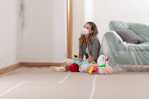 Reliable Black Mold Removal contractor in Neptune Beach, FL by WQB Mold Removal